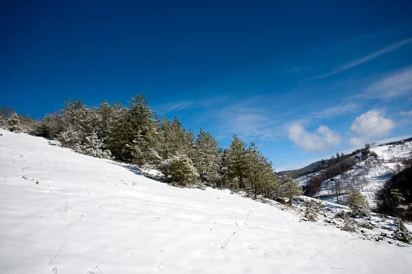 Paesaggio invernale — Foto Stock