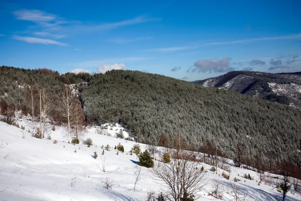 Paesaggio invernale — Foto Stock