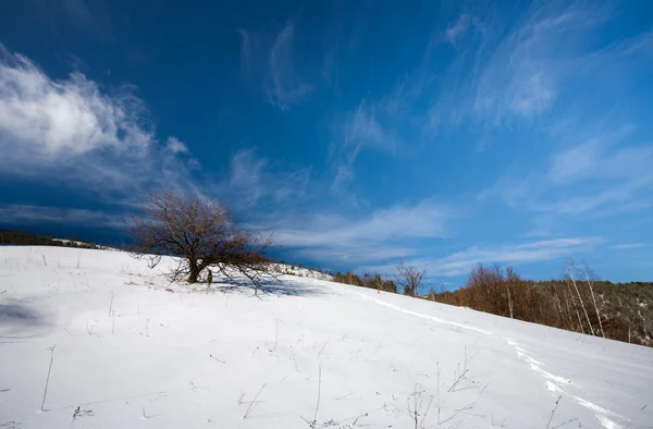 Paesaggio invernale — Foto Stock