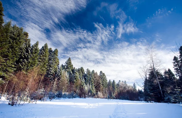 Winterlandschaft — Stockfoto