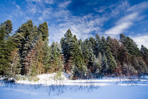 Paisagem inverno — Fotografia de Stock