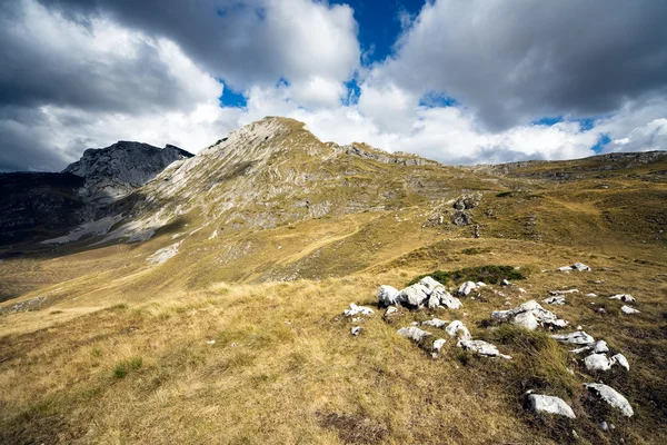 Schöne Landschaft — Stockfoto