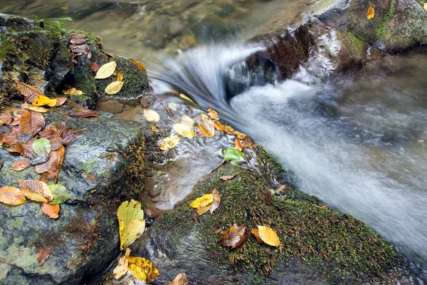 Cascade tombe sur des roches moussues — Photo