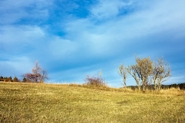 Vackert landskap — Stockfoto