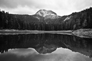 göl ve orman siyah ve beyaz