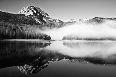 göl ve orman siyah ve beyaz