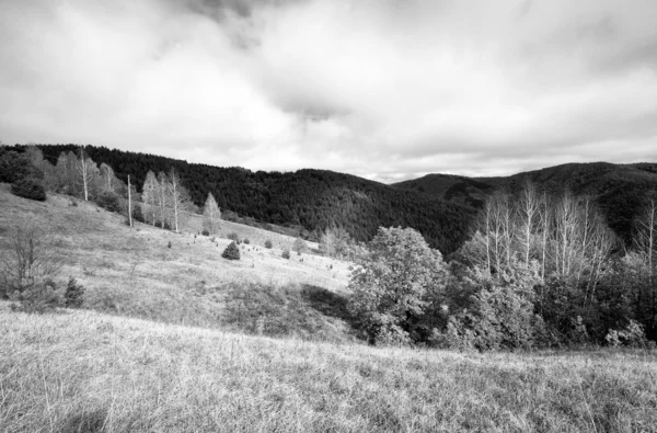 Paisaje de montaña vista al bosque en blanco y negro — Foto de Stock