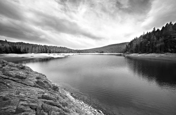 Il lago e la foresta bianco e nero — Foto Stock