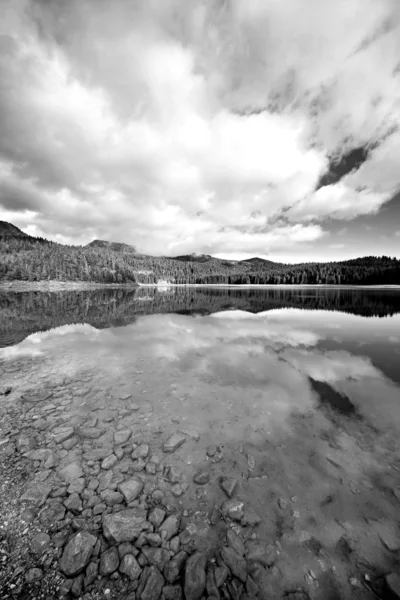 湖と森の黒と白 — ストック写真