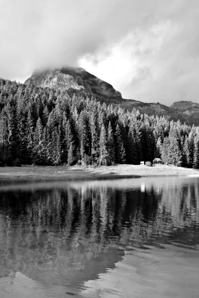 The lake and forest black and white — Stock Photo, Image