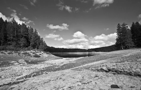See und Wald schwarz-weiß — Stockfoto