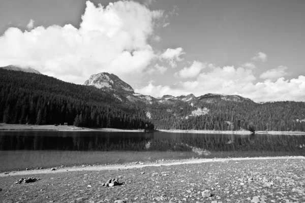 Il lago e la foresta bianco e nero — Foto Stock