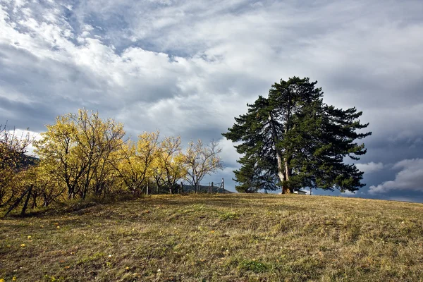 Herbstliche Landschaft — Stockfoto