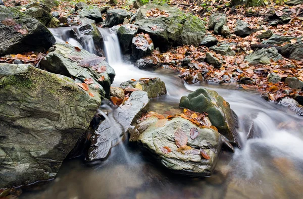 Осенний ручей в лесной горе — стоковое фото