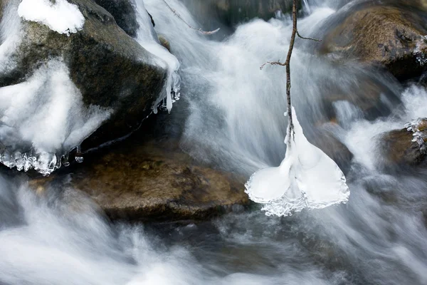 Winter en water — Stockfoto