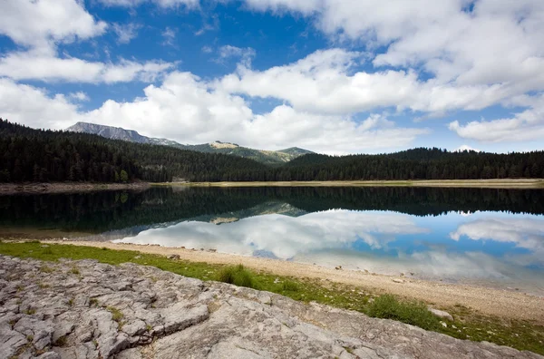 Lago a montanha e floresta — Fotografia de Stock