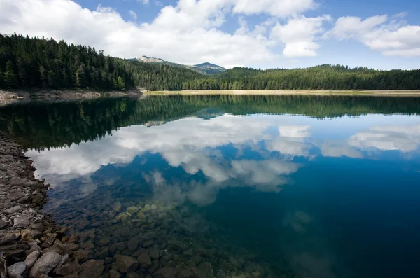 Lago de la montaña y el bosque — Foto de Stock