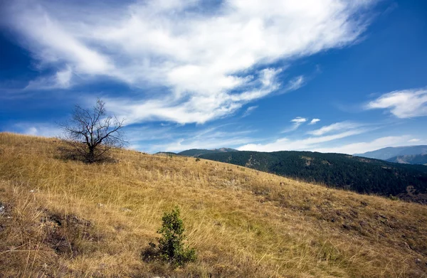 Herfst in berg — Stockfoto