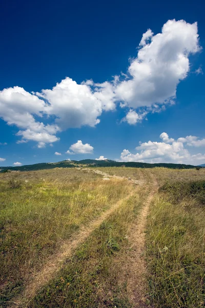 Sommerlandschaft — Stockfoto