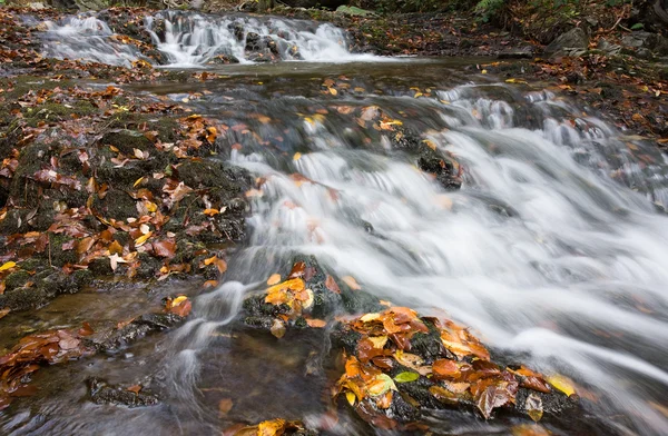 The creek in autumn — Stock Photo, Image
