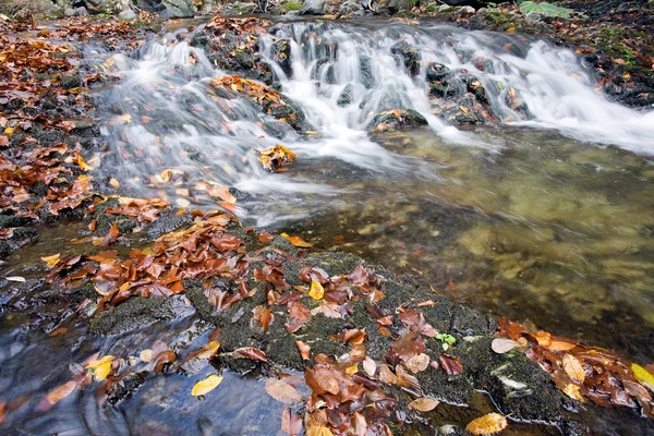 Der Bach im Herbst — Stockfoto