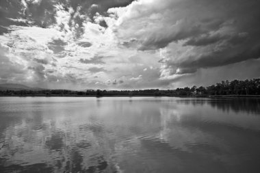 siyah beyaz görünümü forest lake