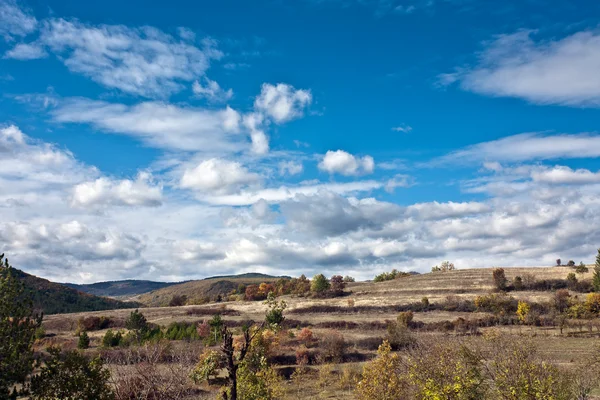 Côté colline — Photo