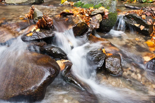 Bergbeek — Stockfoto