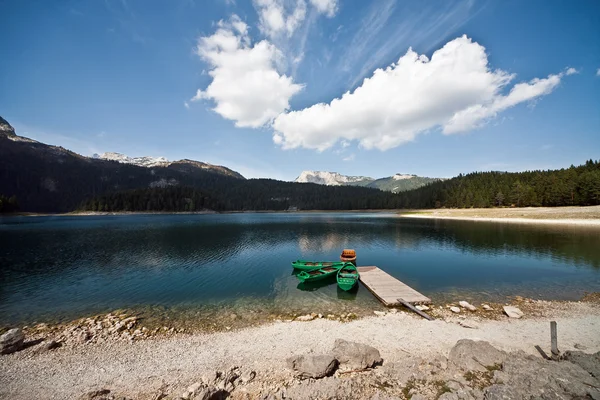 Lac de apă verde în pădure — Fotografie, imagine de stoc