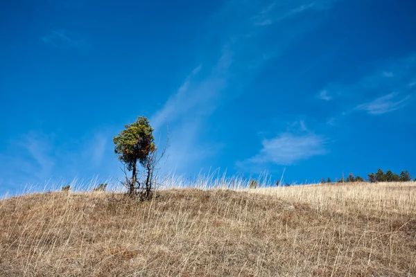 Hillside — Stock Photo, Image