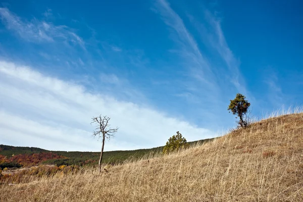 Hillside — Stock fotografie