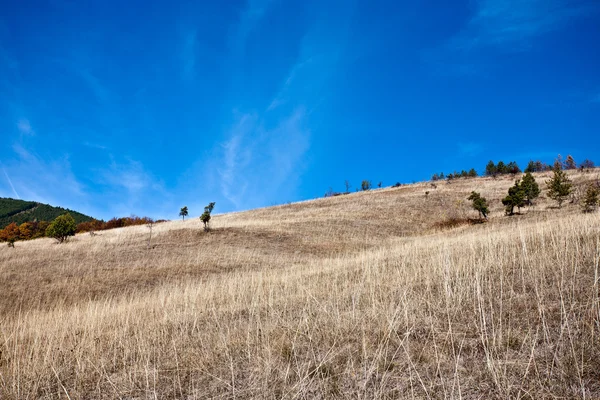 Hillside. —  Fotos de Stock