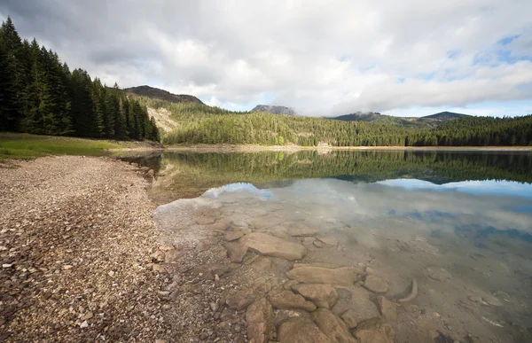 Green water lake in forest — Stock Photo, Image