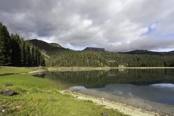 Green water lake in forest — Stock Photo, Image