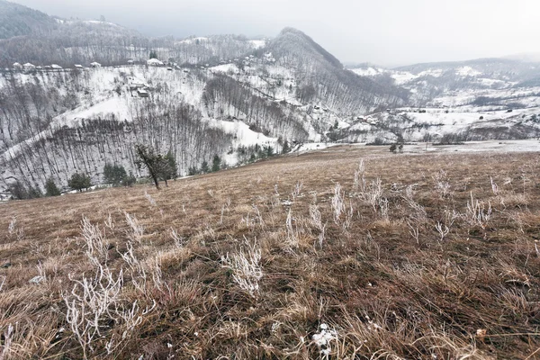 Uitzicht op bergen — Stockfoto