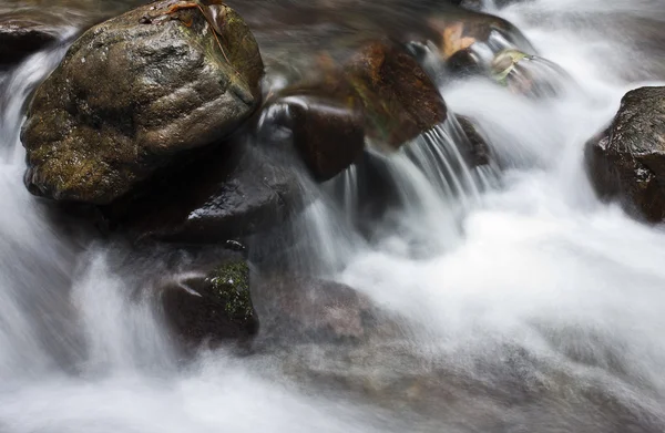 Fjällbäck — Stockfoto