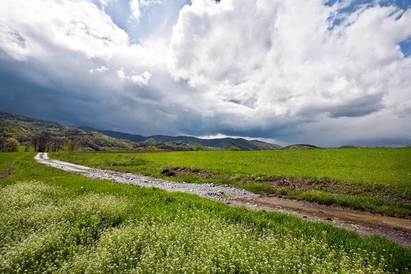 Ländliche Landschaft — Stockfoto