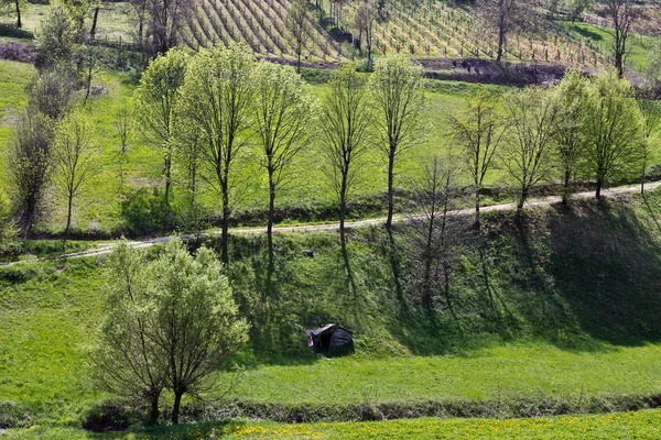 Ländliche Landschaft — Stockfoto