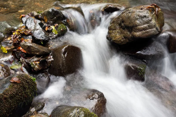 Stream v horských — Stock fotografie