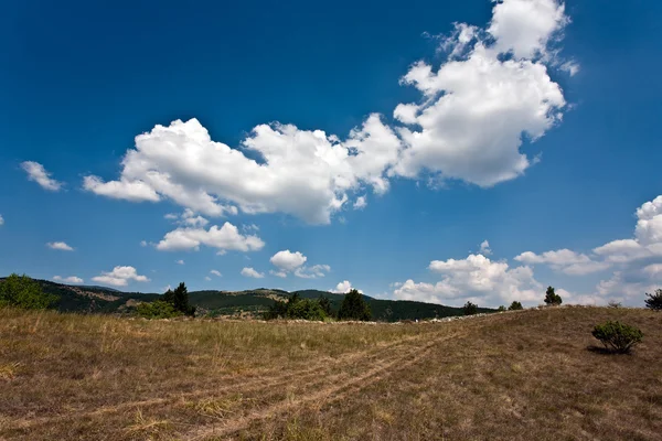 Landschap, berg — Stockfoto