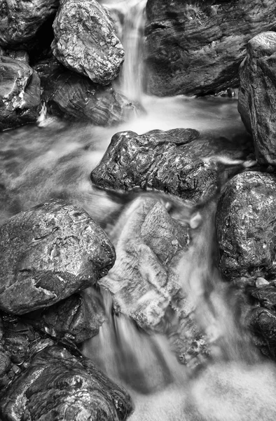 Creek black and white — Stock Photo, Image