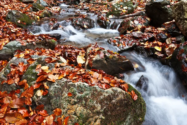 Flusso in montagna — Foto Stock