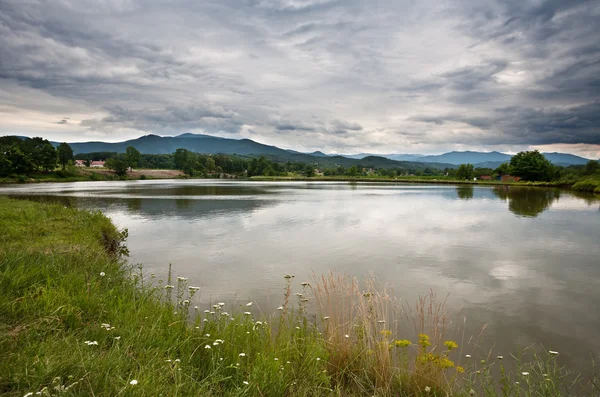 The lake — Stock Photo, Image