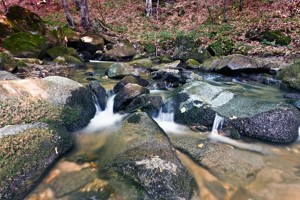 The creek — Stock Photo, Image