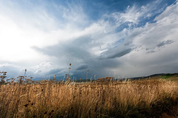 Landscape — Stock Photo, Image