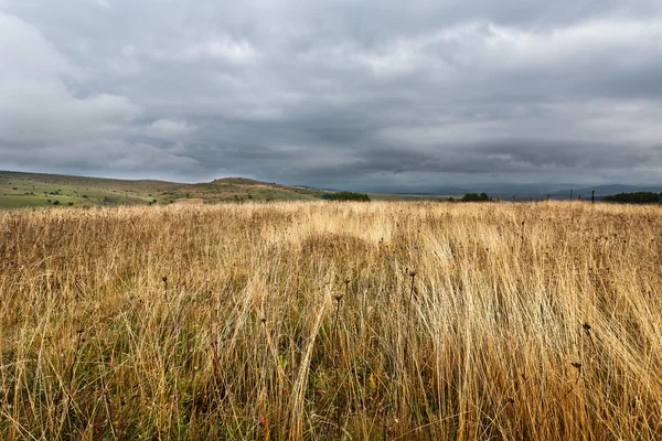 Landskap — Stockfoto