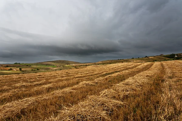 Landschaft — Stockfoto