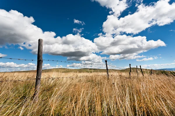 Landschaft — Stockfoto