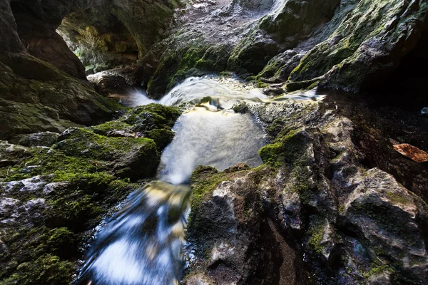 The creek — Stock Photo, Image