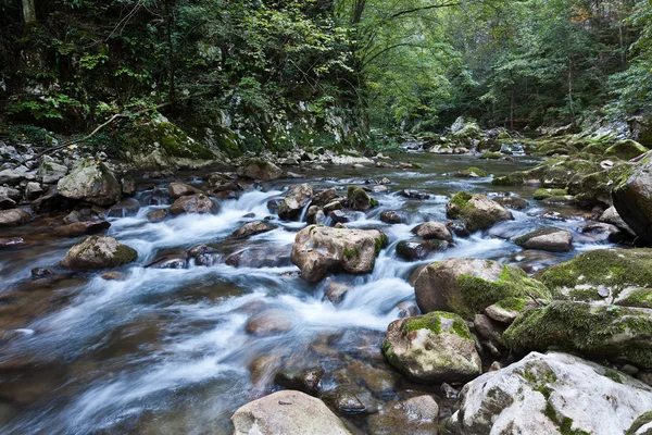 De creek — Stockfoto